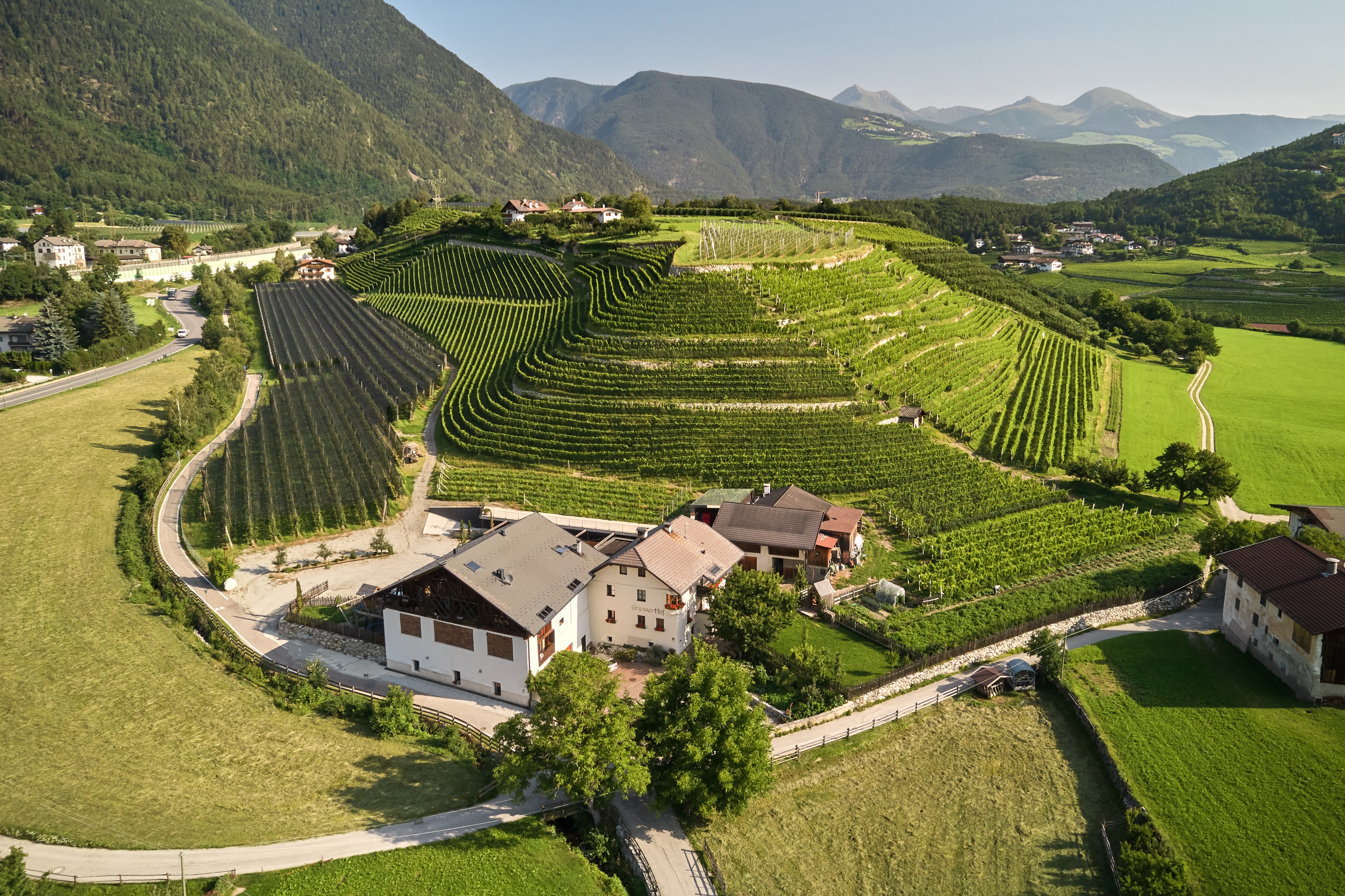 Griesserhof Winery