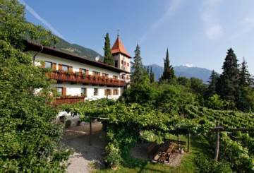 Biedermannhof Winery