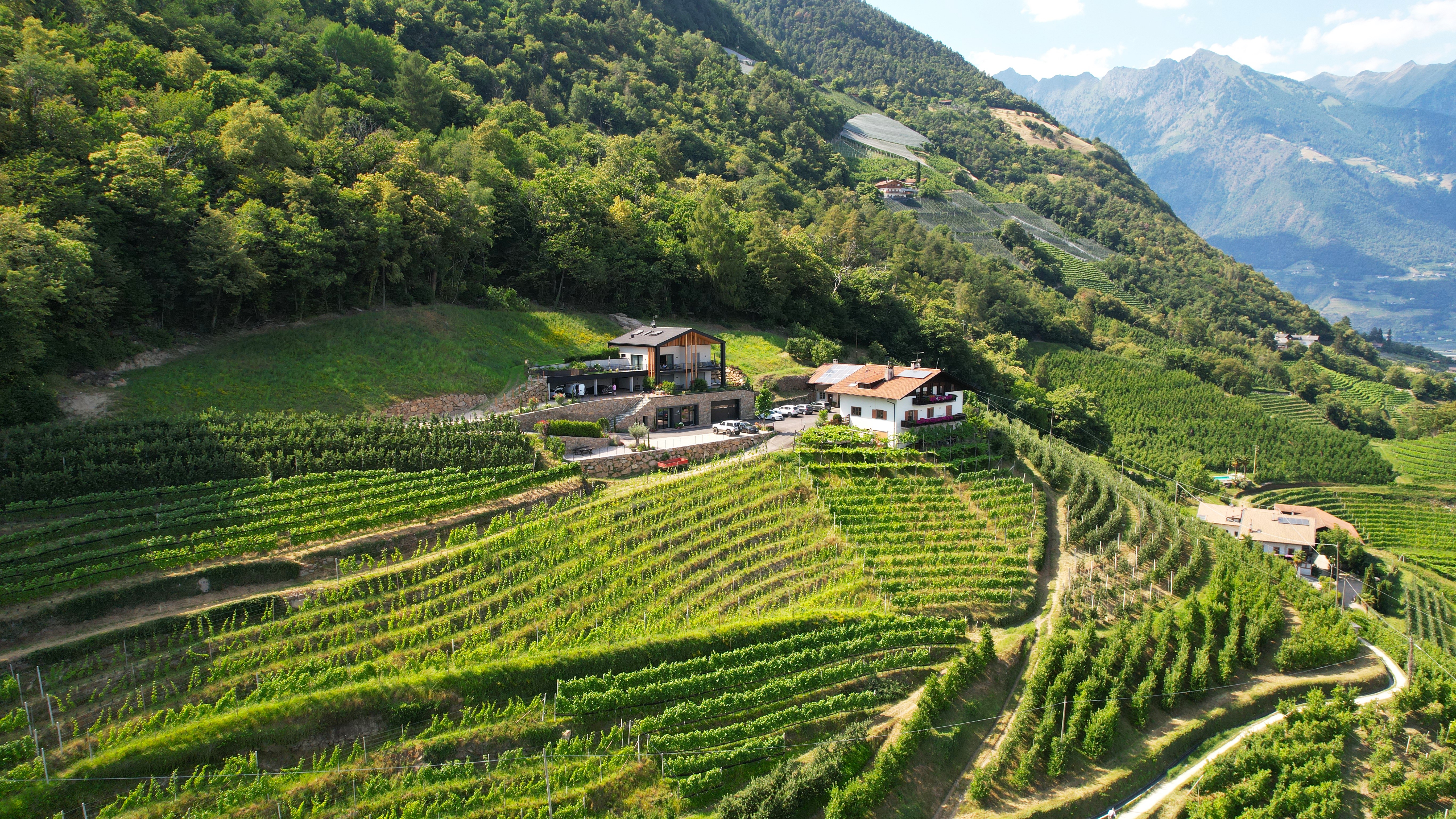 Hillepranter Winery