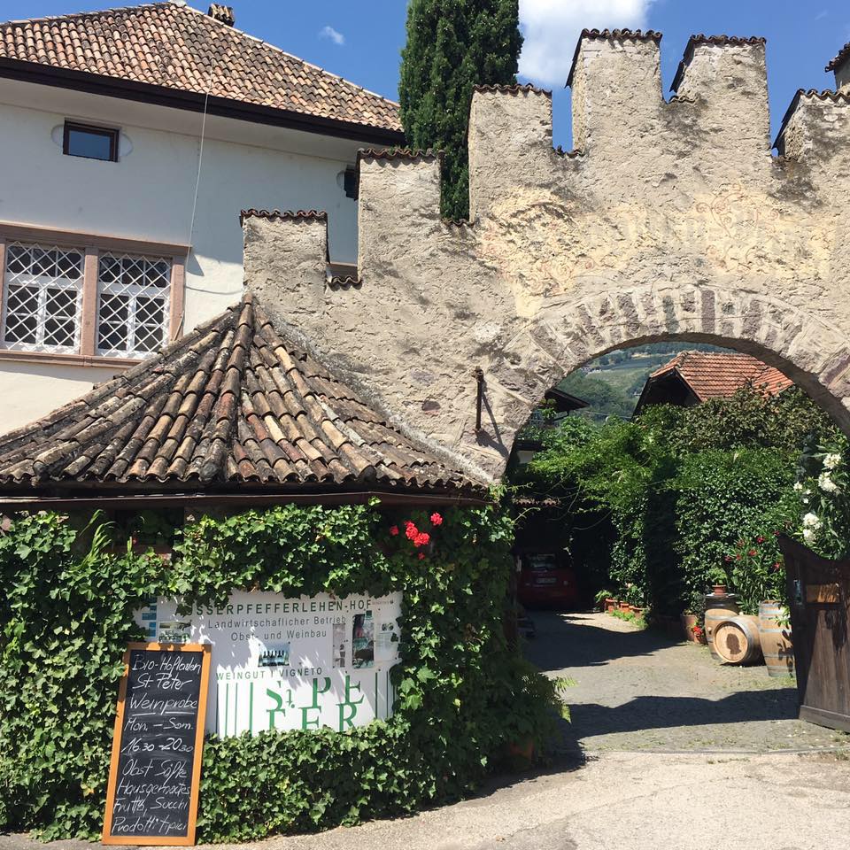 Winery St. Peter