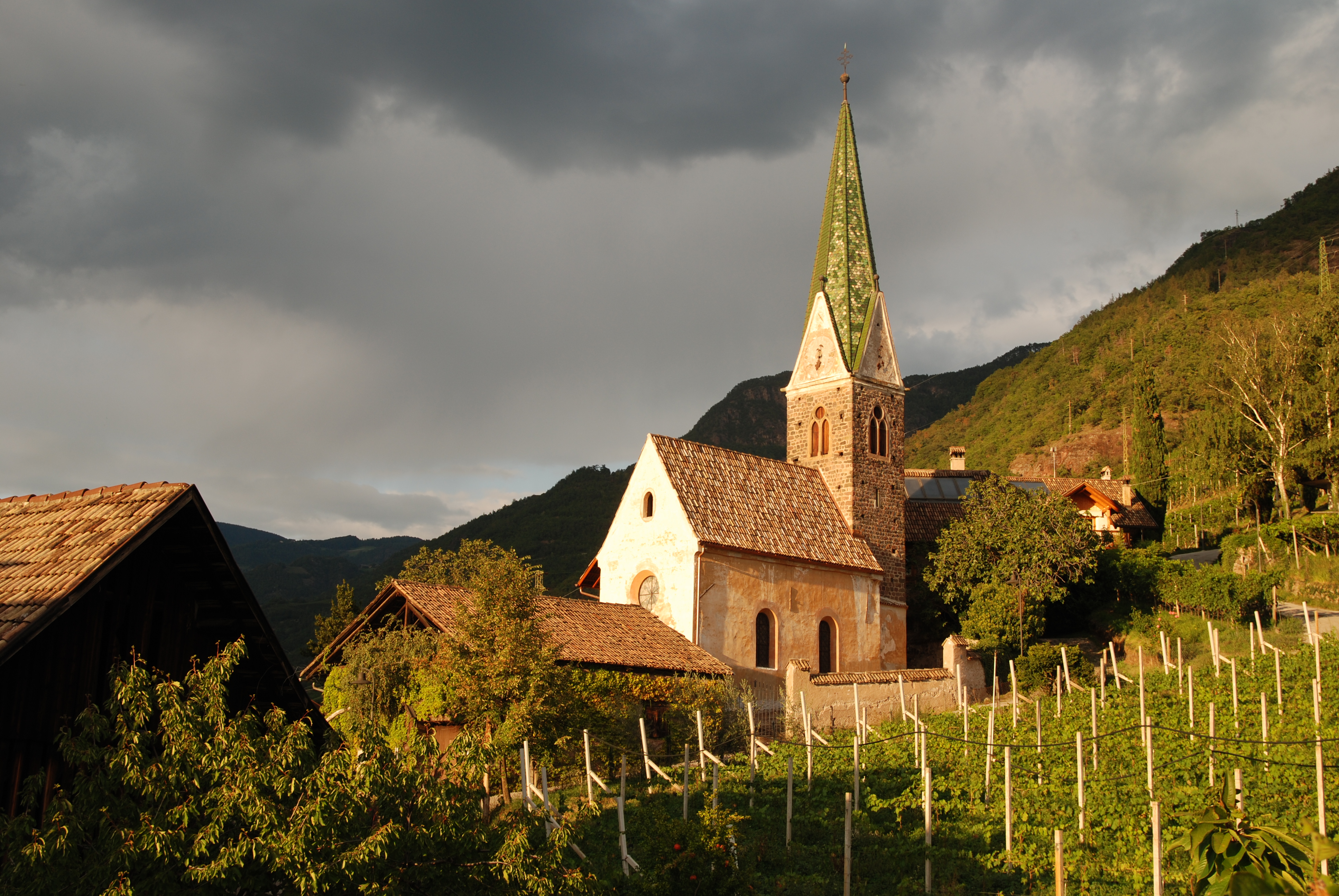 Messnerhof Winery