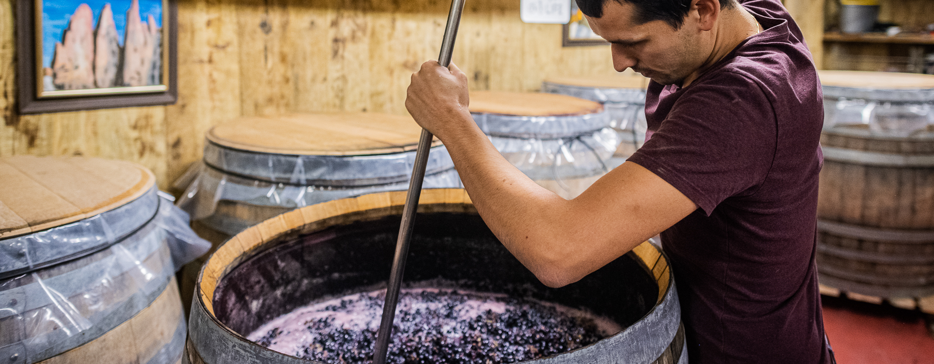 Heinrichshof SAS di Oberrauch Heiner Società Agricola