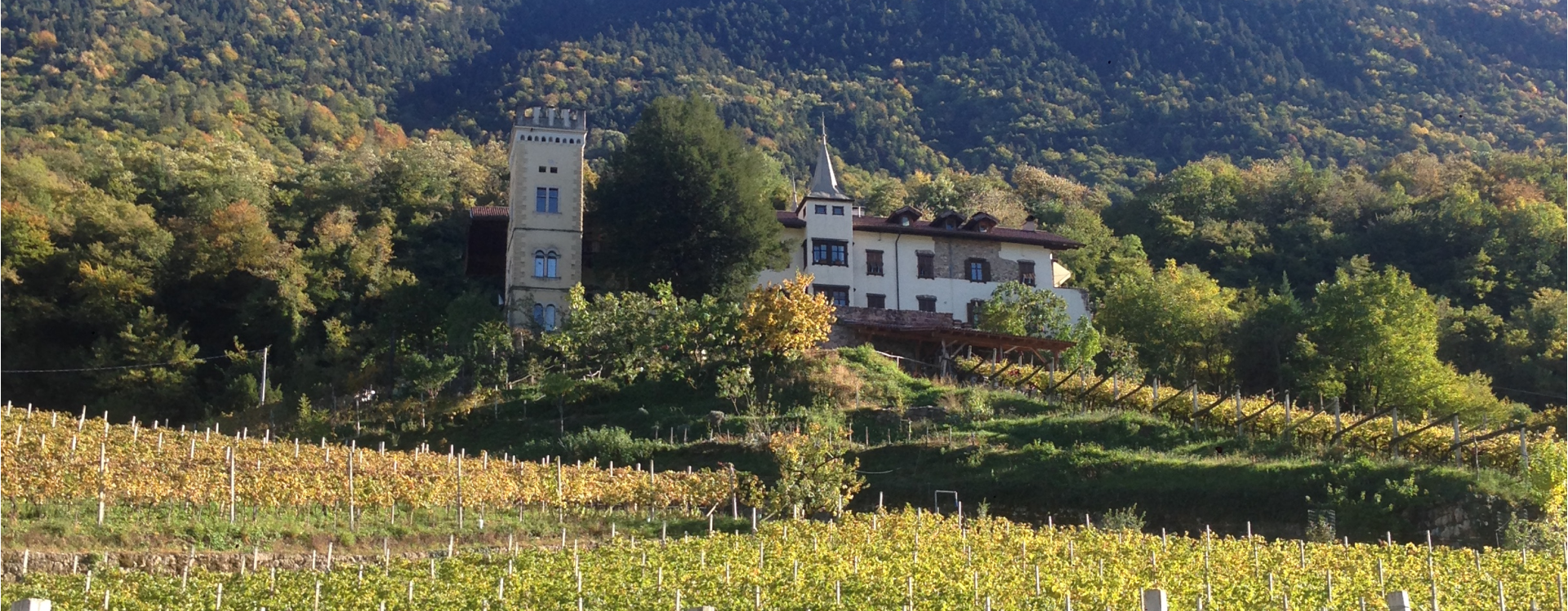 Ansitz Dornach Winery