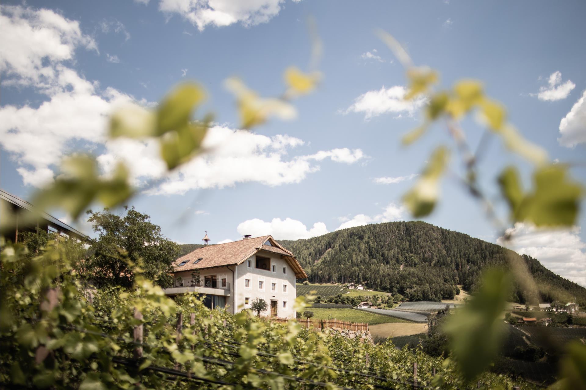 Spornberg Mountain Winery