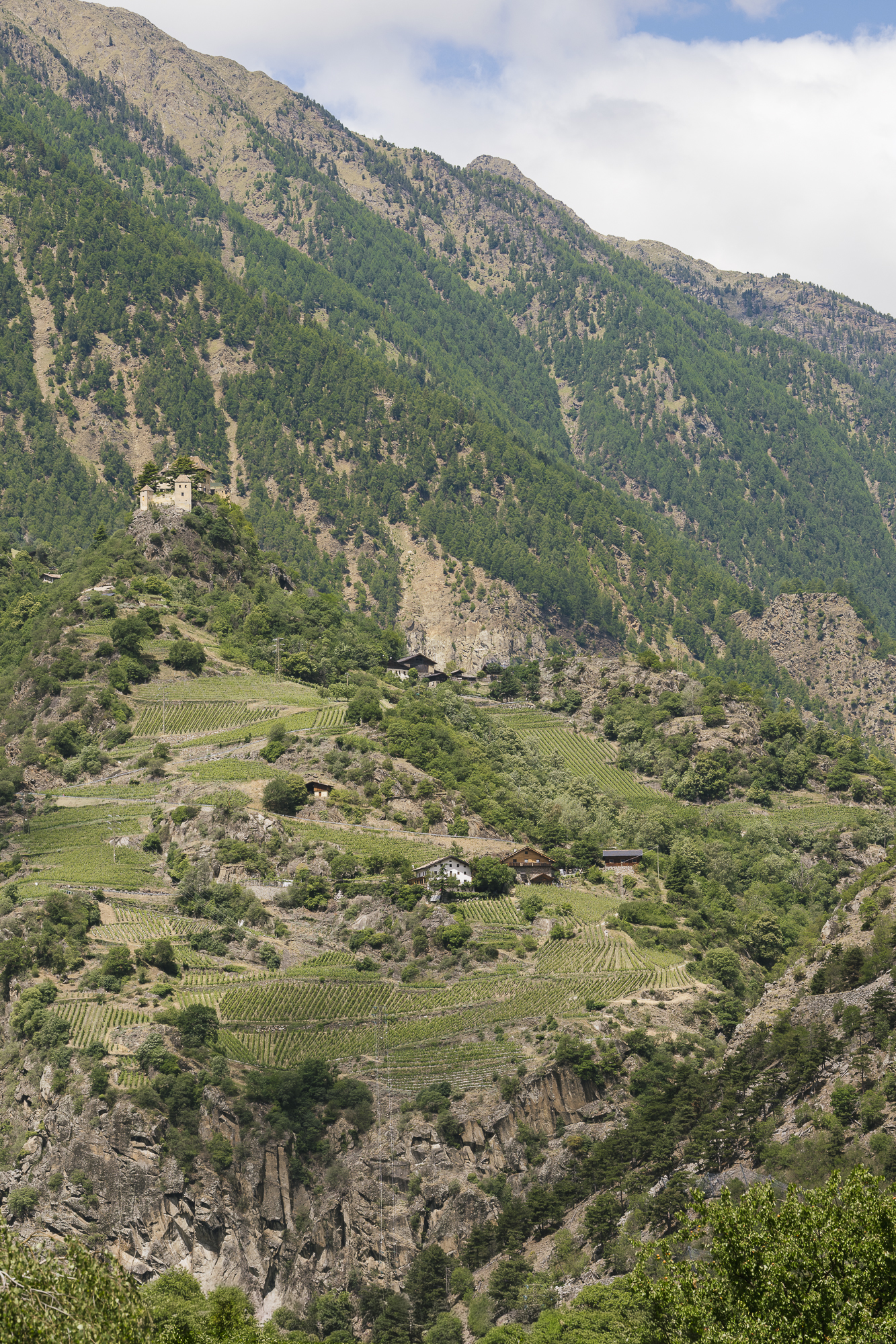 Winery & Distillery Unterortl - Castel Juval