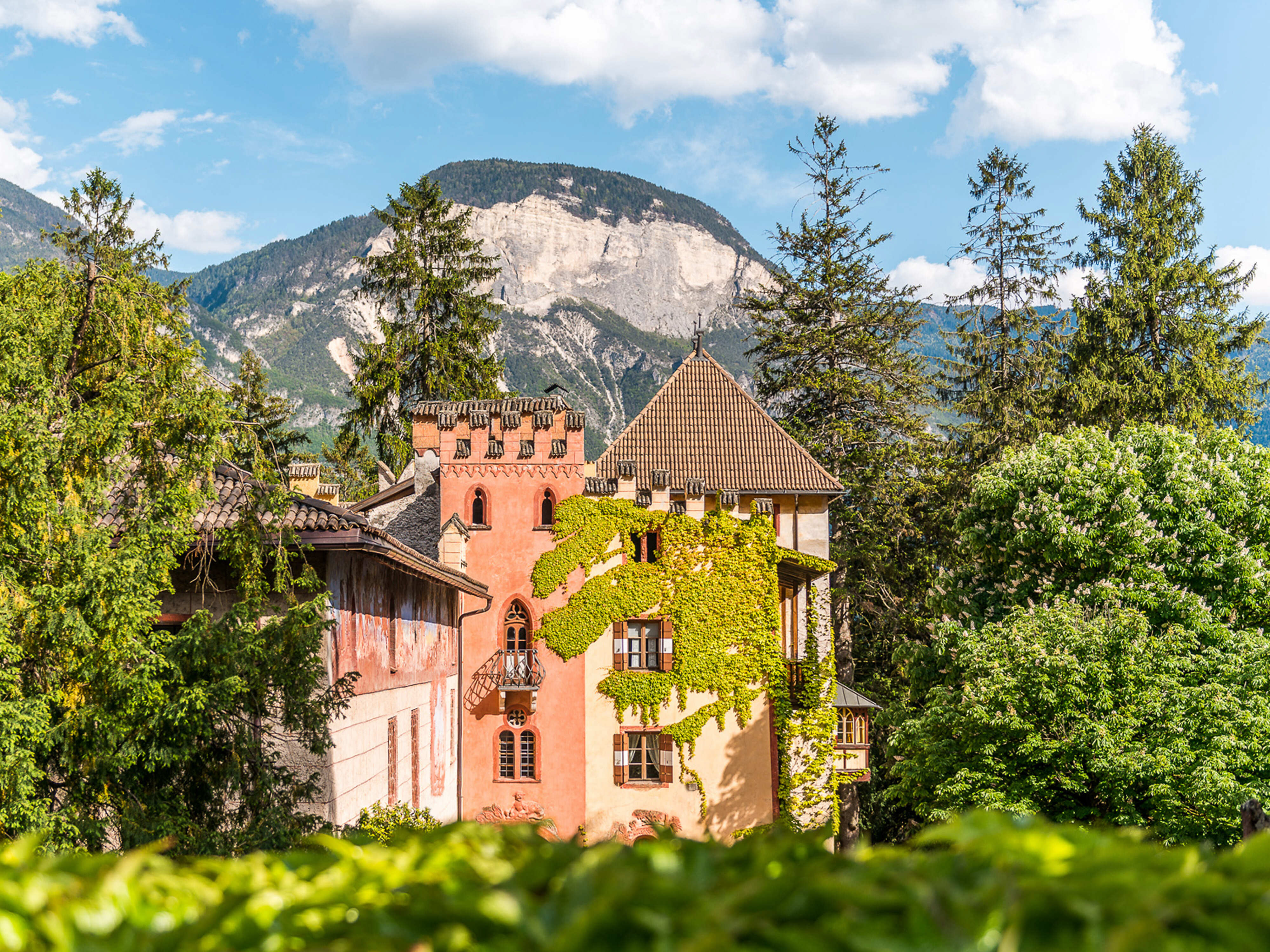 Winery Tiefenbrunner | Schlosskellerei Turmhof
