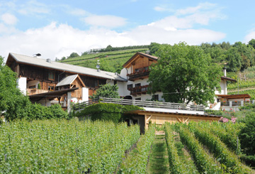 Strasserhof Winery - Hannes Baumgartner